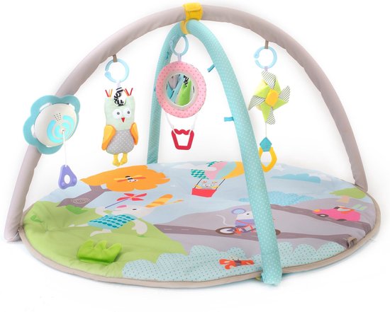 Taf Toys Musical Nature Baby gym Activitygym – Zacht speelkleed met afneembare bogen, speeltjes en een los muziekdoosje met licht – 0 tot 24 maanden
