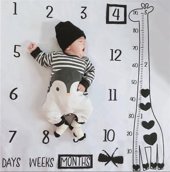 The silly giraffe Mijlpaaldeken van zacht fleece incl. frames en pijl - baby mijlpaal deken